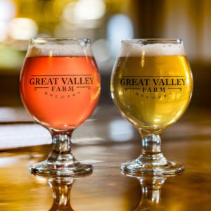 Great Valley Brewing Company