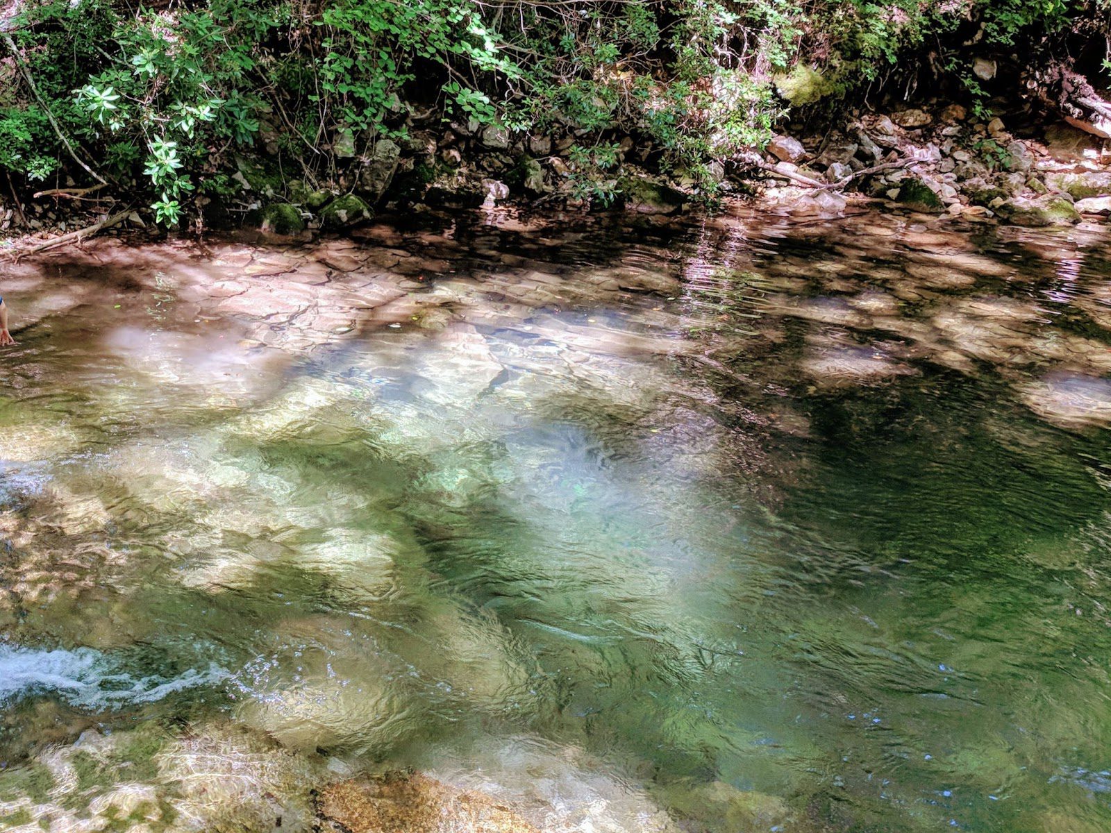 Natural pool
