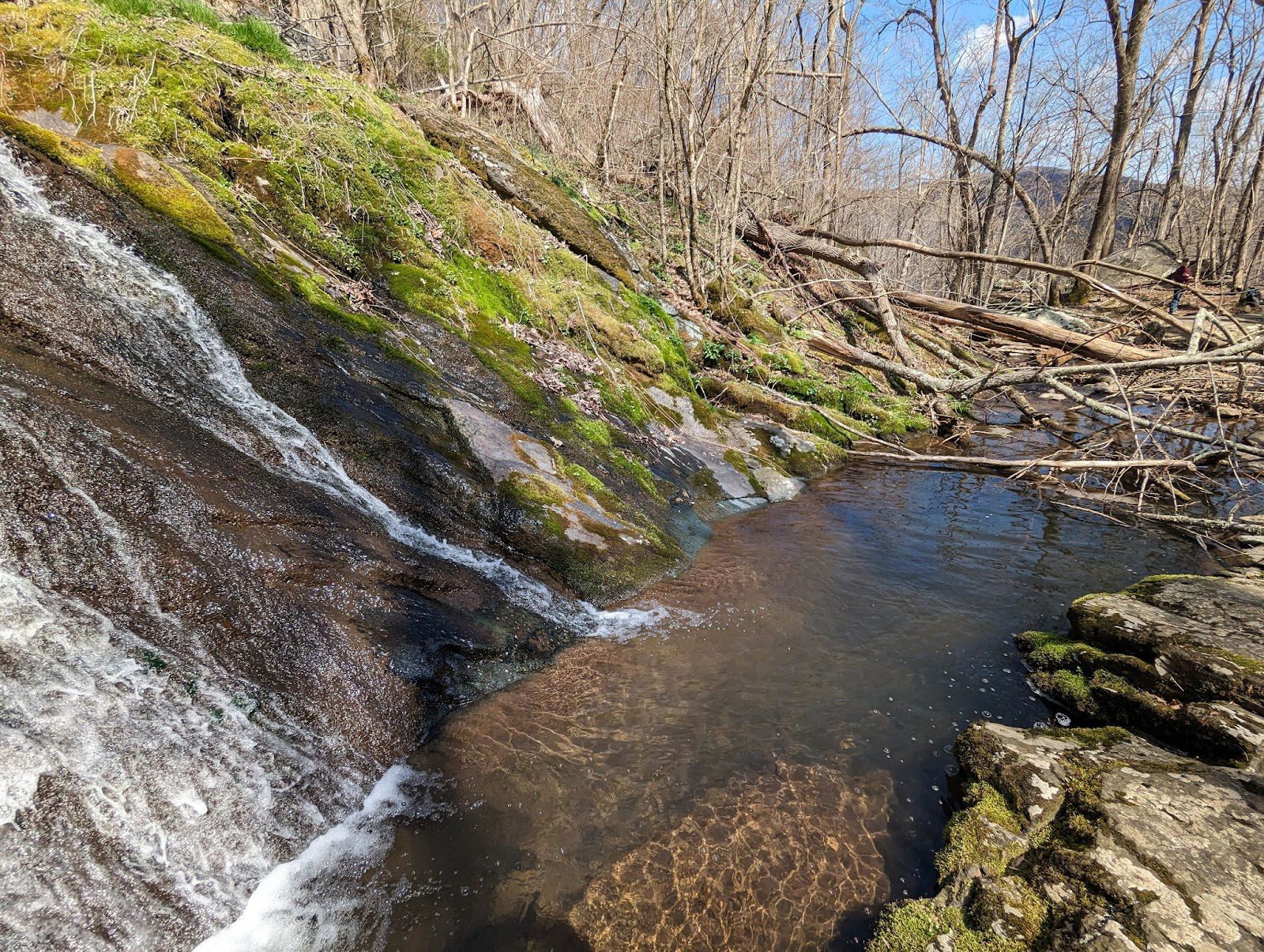 Natural pool