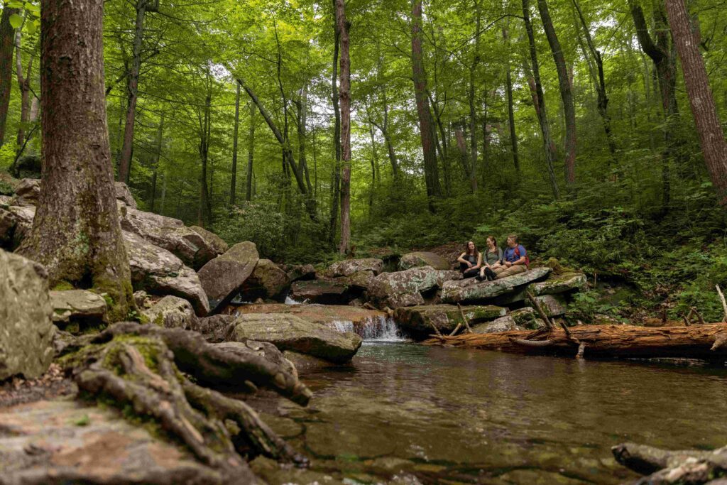 Swimming hole